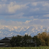 春の里山（水道つつじ公園）