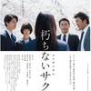 朽ちないサクラ