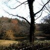 師走の里山―座間谷戸山公園―