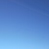 離婚に踏み切れない理由