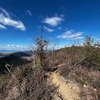 最高の稜線!!各務原アルプス第一弾／各務原権現山〜北山〜芥見権現山