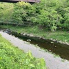 5月7日(水)秩父フライフィールドの河川情報