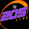 【朗報】205復活へ！NXT205として再スタート！