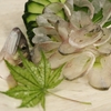 　肴の川魚料理【夏限定！川魚料理堪能コース】