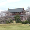 ２０２５ 桜を見る ～ 平城宮跡
