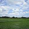 もう初夏の田園風景