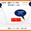 「2023年を振り返って：転移による激しい痛みを経験」～「夫の直腸がん闘病生活と寄り添う妻(10歳のマリア）」第72回～