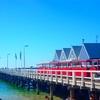 南半球一長い桟橋、Busselton Jetty。