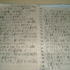 読書日記（ひまわりさん二巻読解）