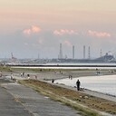 yonapenの日記