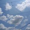 誓いを立てた！