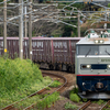 2024/09/25 4093レ EF510 305号機