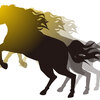 【追い切り注目馬】【都大路S】【聖護院特別】他　2025/5/25(日) 京都競馬　前年より上