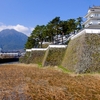 島原城の掘端ハス池（長崎県島原）