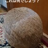 男は「すごい」に弱い