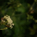 odamami’s blog