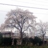 博物館の裏山、荒倉山へ