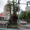 2021/05/07 南千住散歩 02 山王清兵衞祠/南千住日枝神社/千住大橋/足立市場/千住宿の奥の細道/道標