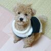 手編みのセーター