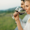 The Must Have Wine tours in Mcminnville