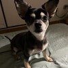 まろにー3327日目