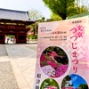 東大前駅:散歩『根津神社』文京つつじまつり♫