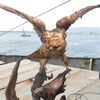 国後島の税関　ロシア人漁船員が根室・花咲港で購入した猛禽類の剥製を押収