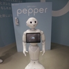 ソフトバンクpepperに馬鹿にされた日