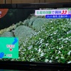 テレビ大阪「ニュースリアル」にて、茶畑ハイキング＆茶摘み体験を取材頂きました！【d:matchaのこと】