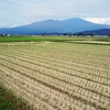 東京の会社を退職して山形に移住することにしました