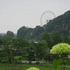 サマーランド_あじさい園(東京都あきる野市)