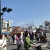 山鹿豊前街道マルシェ　街道浪漫