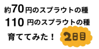 スプラウト育て日記　　２日目