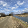 鴨川の冬風景（iPhone試し撮り）