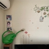 貝の缶詰。