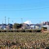 今日は あの日和田山までウオーキングだ!!