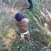 再び、孫を耳鼻科に連れてって