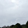 今日は台風来ます