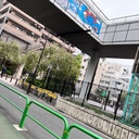 よくわからないもの