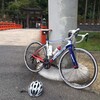 ローズフェスティバルが始まりました！