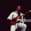 Muddy Waters  ♬ Blow Wind Blow 