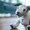 Robot Dog : Sony's Aibo