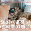 bearSuu(べあすぅ)とおうち時間の過ごし方