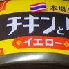 ［24/08/19］ウチで TV スパゲッティ 1.7mm(約100g)に いなば チキンとタイカレー イエロー １９７－１０＋税／１０＋１５９円(BiG Exp)