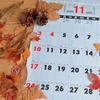 【千葉全域】 秋を楽しむイベントまとめ　11月前半