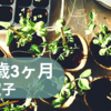 1歳3ヶ月双子　ルーティーン
