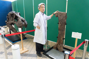 恐竜の骨やふんの化石に触れる！　8月30日まで上越科学館で「恐竜アドベンチャー2026」 