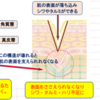 冬の紫外線に要注意　サンガードボディで跳ね返す