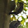 明石城公園は子育て真っ盛り