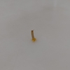 雑談：もやし柱？？いいことあるかな？笑